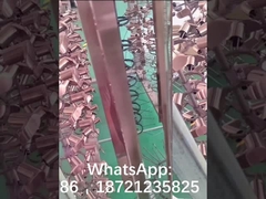 La 1ra máquina de PVD construida en la capa de cobre amarillo de los golpecitos del sanitaryware- de África Túnez SOPAL