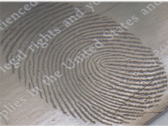 Sistema de metalización de alto vacío, unidad de recubrimiento por evaporación térmica para la obtención de imágenes de huellas digitales